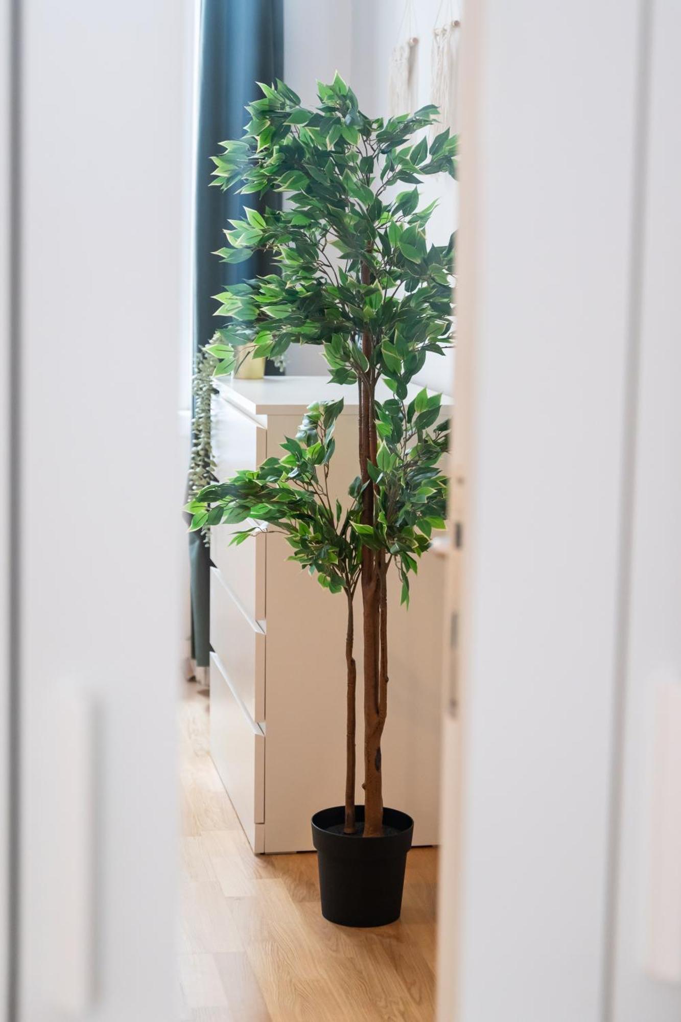 Vienna City Apartment 1020 فيينا المظهر الخارجي الصورة